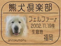 �I�[�i�[�́A�t�F���t�@�[�p�p���}�}����ł���